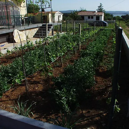 아파트 With Parking Space Kraj, Pasman - 696 트콘