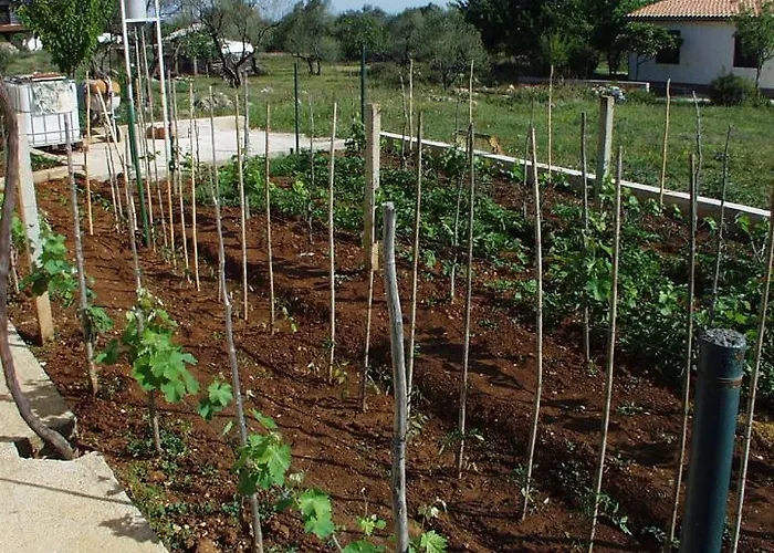 With Parking Space Kraj, Pasman - 696 *