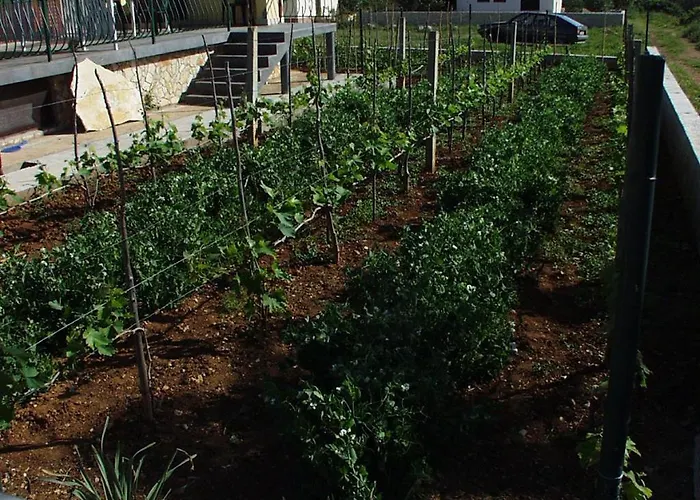 아파트 With Parking Space Kraj, Pasman - 696 트콘