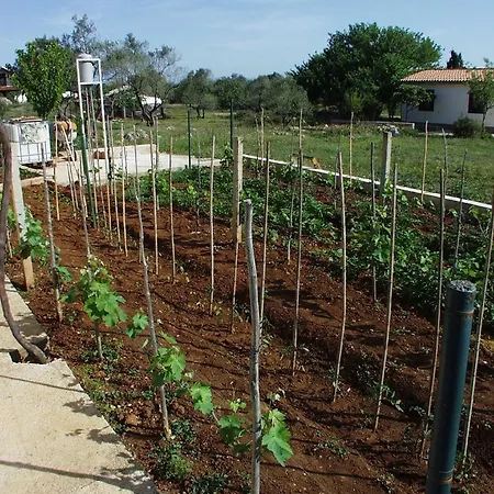 With Parking Space Kraj, Pasman - 696 *